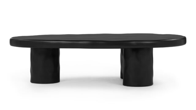 The Aster – Black